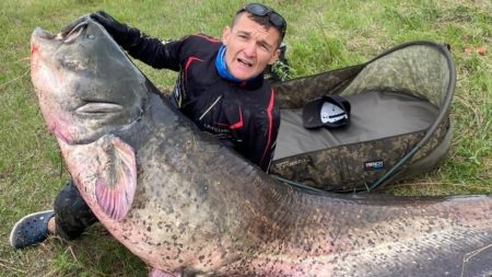 В Астраханской области выловили 124-килограммового сома