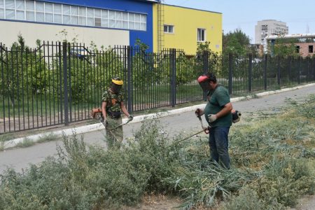 Администрация Астрахани избавляется от травы