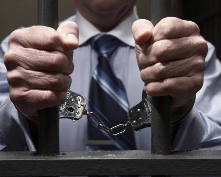 Астраханский чиновник пойдёт под суд из-за бездомных собак