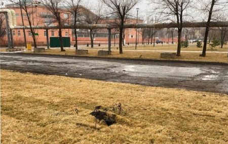 В Астрахани украли губернаторские ёлки