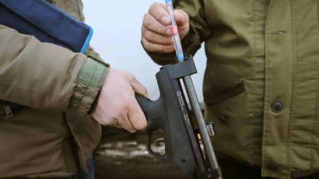 Астраханский депутат требует созвать экстренное совещание и ввести отстрел собак