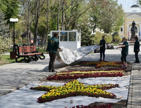 В Астрахани высадят около 300 тысяч цветов и шесть тысяч деревьев