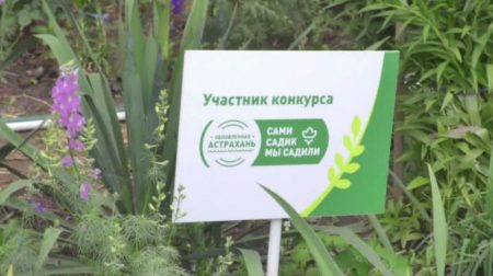 В Астрахани начался конкурс на самую благоустроенную придомовую территорию