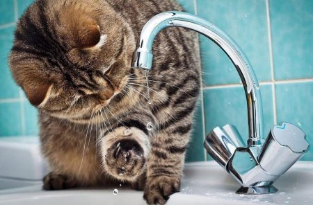 В Астрахани грядёт масштабное отключение водоснабжения