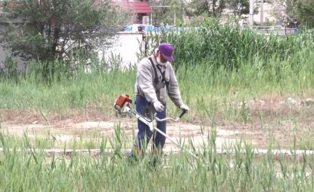В Астрахани уничтожили более 100 гектар травы