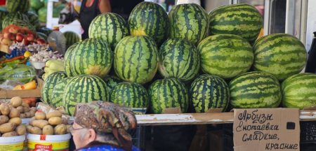 Минсельхоз сообщил, какую долю арбузов и дынь выращивает Астраханская область в стране