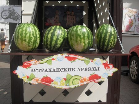Астраханские бахчеводы собирают рекордное количество урожая