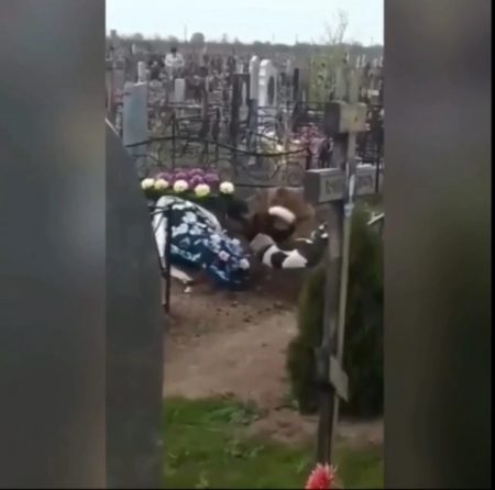 НА АСТРАХАНСКОМ КЛАДБИЩЕ БЕЗДОМНЫЕ СОБАКИ РАЗРЫЛИ СВЕЖУЮ МОГИЛУ