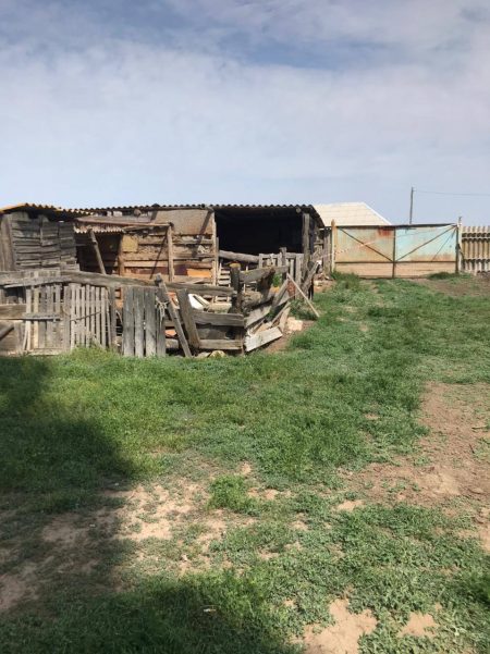 Астраханец получил 13,5 лет колонии строгого режима за убийство сожительницы