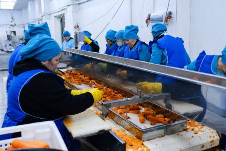 Астраханский завод поставляет замороженную овощную продукцию по всей России