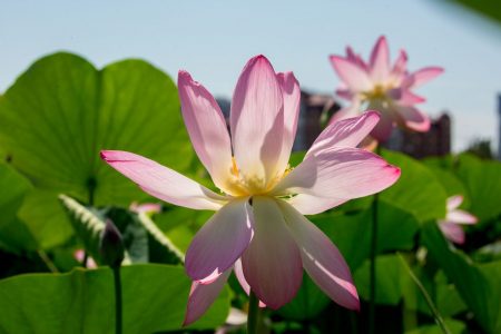 Астраханская область – в числе пилотных регионов проекта «Земля для туризма»