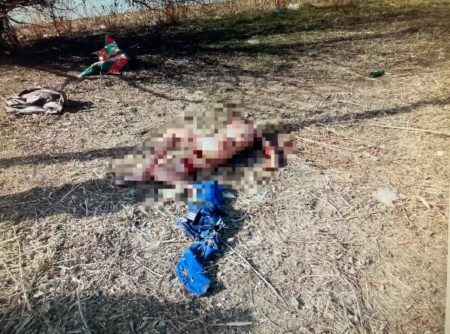 Астраханца, чье тело нашли полторы недели назад, загрызли заживо