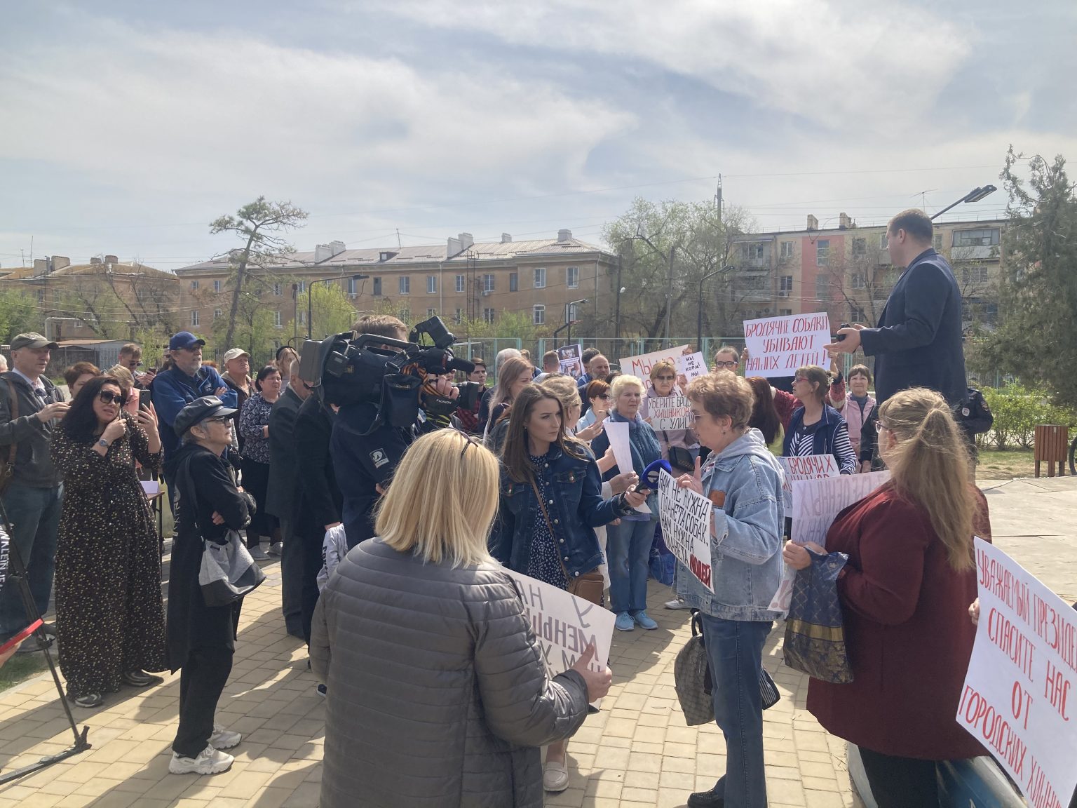 Астраханцы высказались за решение собачьего вопроса