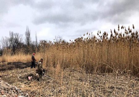 В Астрахани начали скос сухой растительности