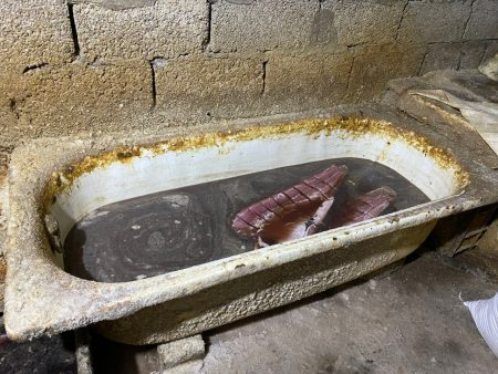 В Астрахани семья бизнесменов осуждена за приобретение и хранение немаркированной рыбы