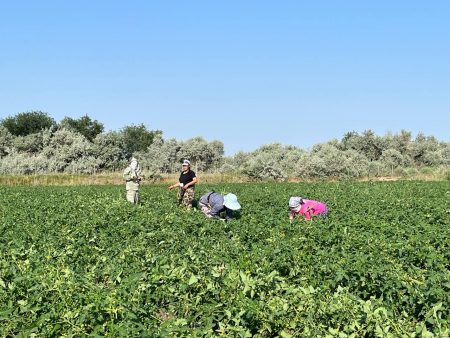 Астраханские фермеры готовятся к большому урожаю