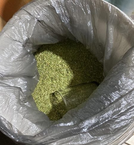 В Астрахани работала подпольная наркоферма