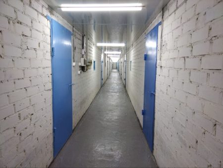 Еще один собачий приют открывается в  Астраханской области
