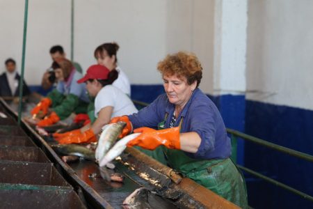 В Астраханской области рыбное производство отмечает 90-летний юбилей