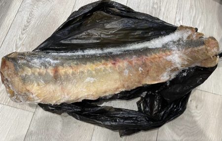 Астраханцы предстанут перед судом за незаконный оборот «красной» рыбы