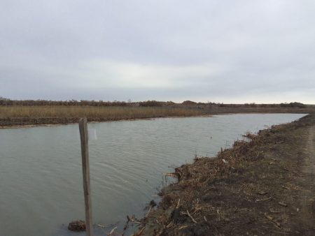 Более 12,5 км водного тракта уже расчищено в Наримановском районе