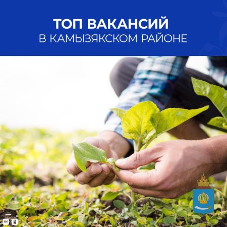 Астраханское агентство занятости рассказало про ТОП вакансий в Камызякском районе